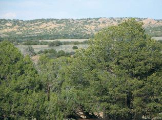 25 Sierra Highlands Ranch Road, Saint Johns, AZ 85937