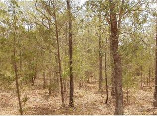 1754 Gotier Trace Rd, Paige, TX 78659