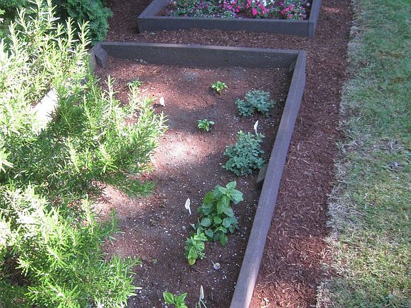 Raised Beds
