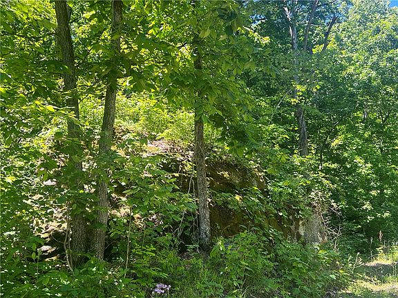 4th image of Terrapin Rd