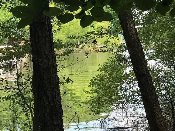 4th image of 13 Highpoint Blvd