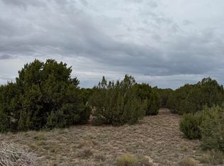 55 Ponderosa Dr, Concho, AZ 85924