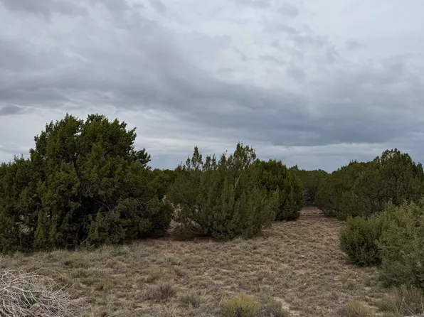 55 Ponderosa Dr, Concho, AZ 85924