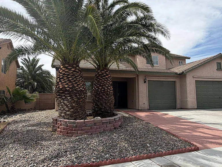 8101 Yellow Daisy Ave — Photo 3