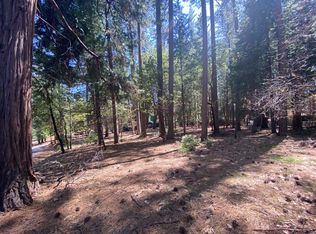 16931 McKenzie Dr, Pioneer, CA 95666