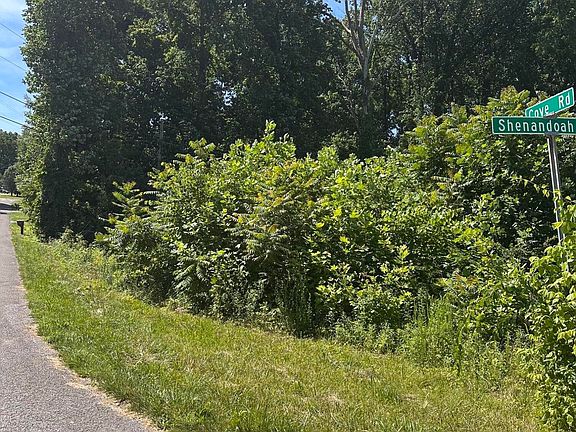 4th image of 3447 Shenandoah Ln