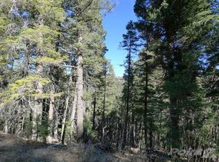 89 Gold Nuggett Aly, Cloudcroft, NM 88317