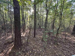 Shoal Creek Rd, Ashville, AL 35953