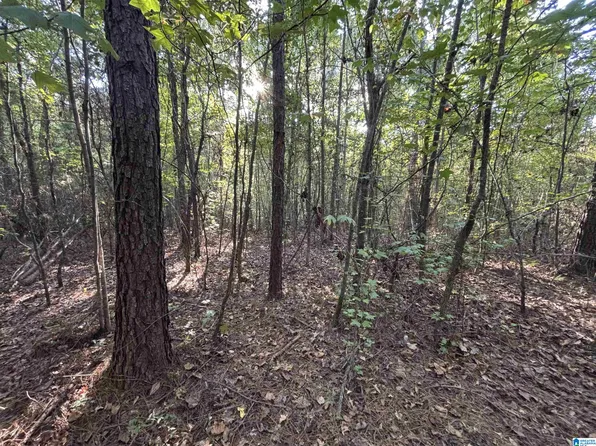 Shoal Creek Rd, Ashville, AL 35953