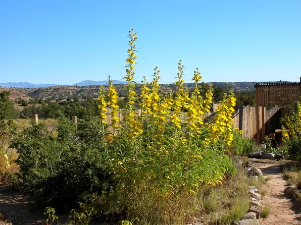 44A Goldmine Rd #A, Cerrillos, NM 87010