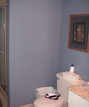 Guest bathroom