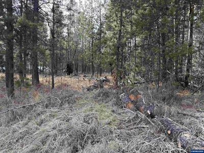 LOT 16 Willow St, La Pine, OR, 97739