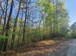 LOT-3646R Fern Ln, Ellijay, GA 30540
