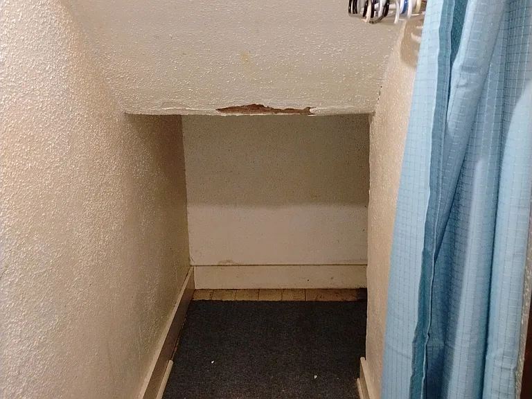 410 Locust St #2 — Photo 4