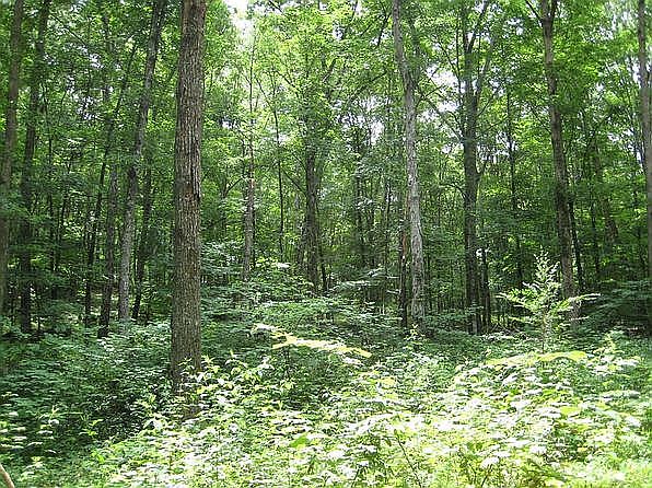 2nd image of Crocker Rd