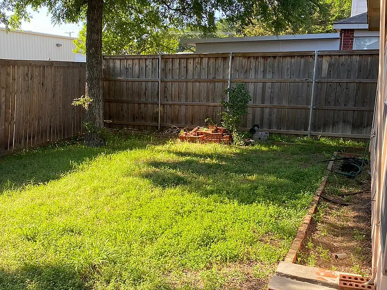 Backyard with new fence