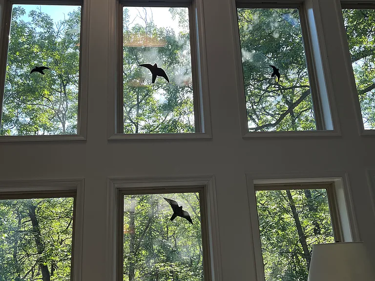 Lookout Rdg — Photo 45