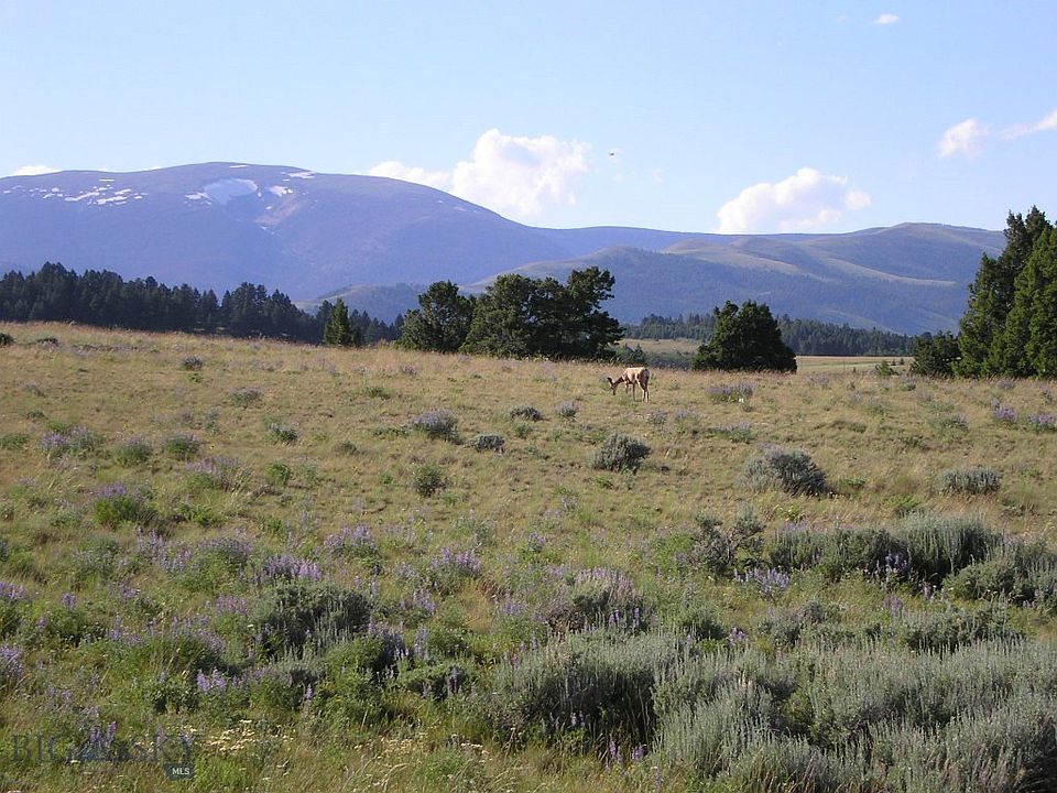 1st image of 87 Mountainview Trl
