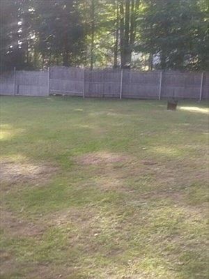 3rd image of 75 Dale Ave