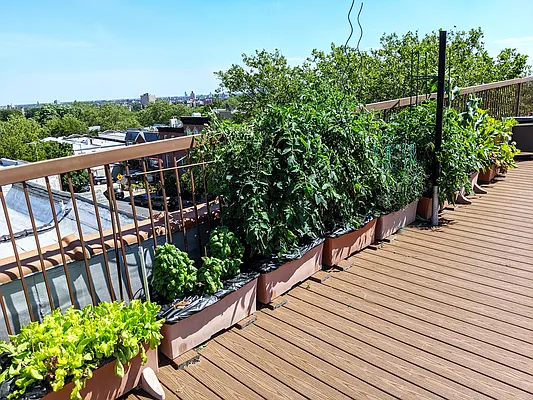 Sold by Brooklyn Properties | media 12