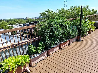 Sold by Brooklyn Properties