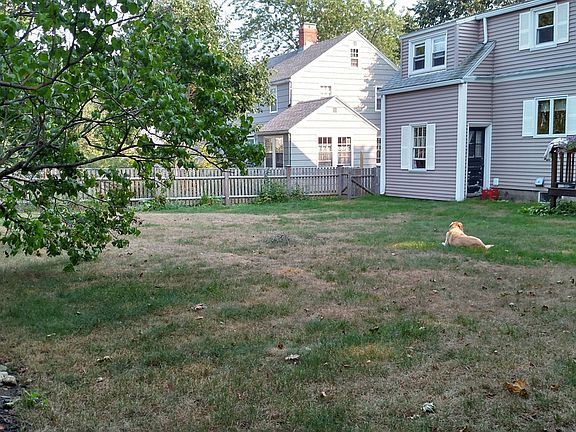 Large, fully-fenced in backyard