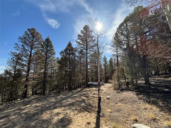 1980 Pitchfork Road LOT 1251, Hartsel, CO 80449