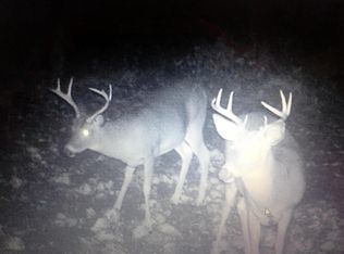 2708 N Ayr Rd, Alanson, MI 49706