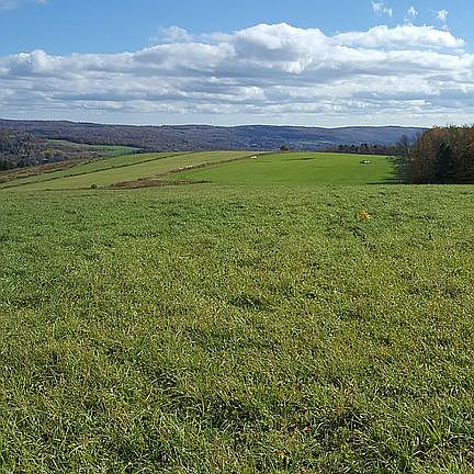 5th image of 3927 State Highway 51