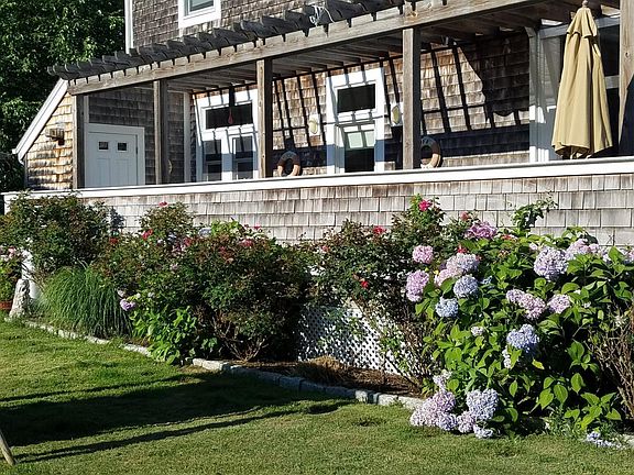 Back deck overlooking lawn, flanked with roses and hydrangeas