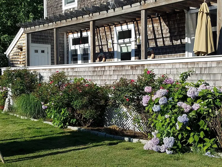 Back deck overlooking lawn, flanked with roses and hydrangeas