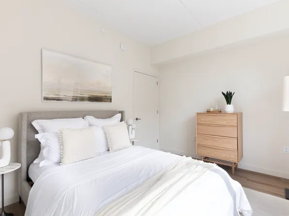 8 Palmetto Street image 3 of 11