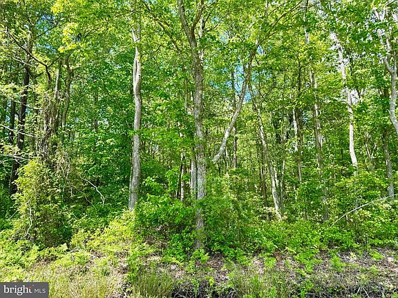 5th image of 0 Anderson Rd