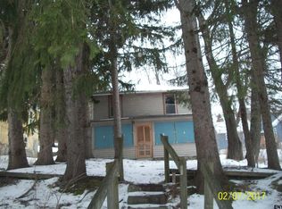 136 South St, Sharon Springs, NY 13459