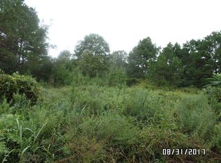 412 Scott Road Ext, Elko, GA 31025