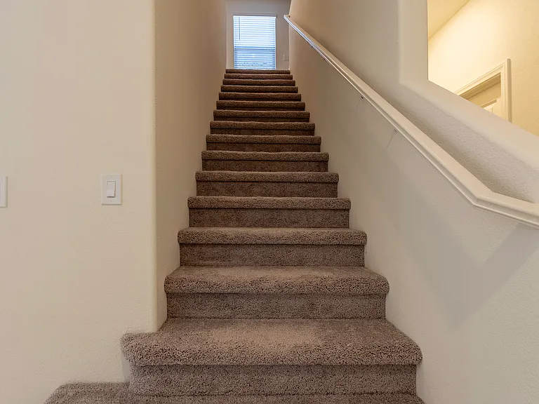 4160 Scarlet Cob Ave — Photo 22