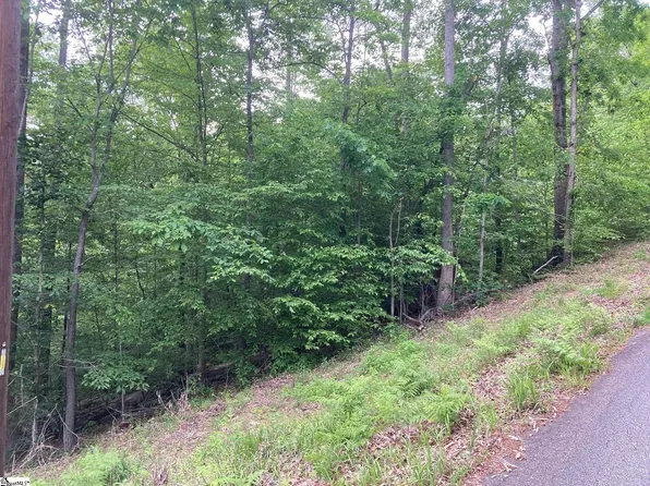 473 Shelor Ferry Rd, Fair Play, SC 29643