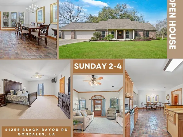 41255 Black Bayou Rd, Gonzales, LA 70737