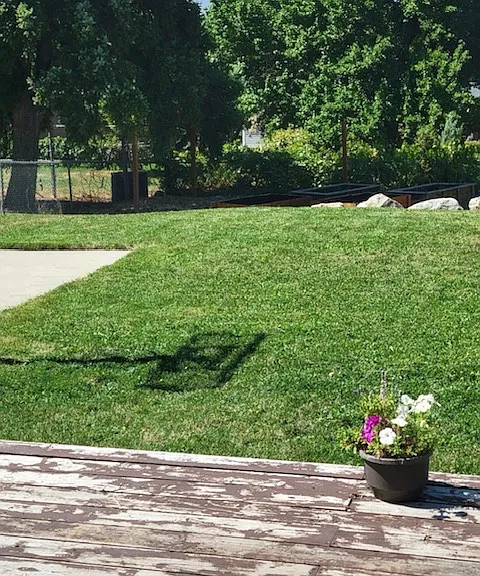 back yard