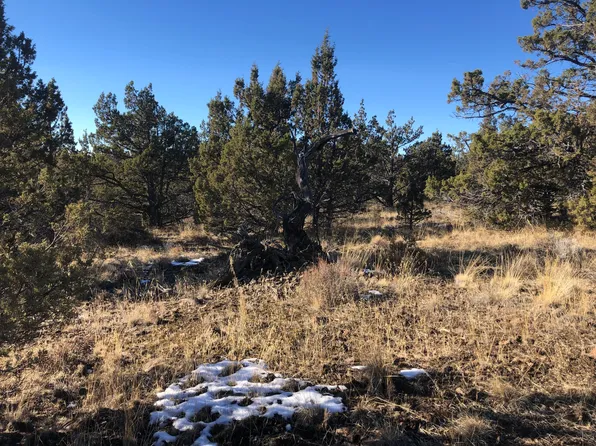 Off Se Wolf #1300, Prineville, OR 97754