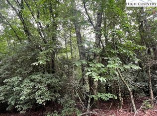 0 Wippercht Dr, Spruce Pine, NC 28777