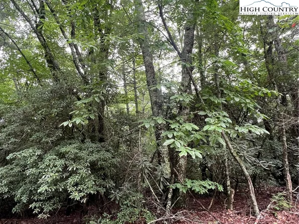 000 Wippercht Drive, Spruce Pine, NC 28777