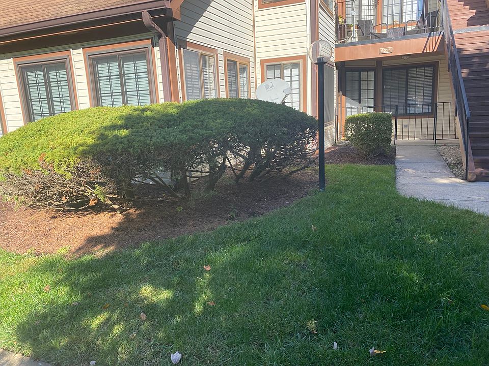 Ground floor and patio. Great neighbors!