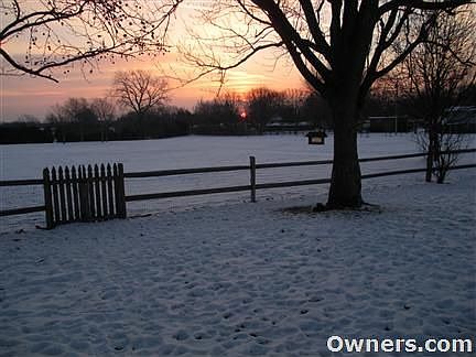 Winter sunrise-backyard