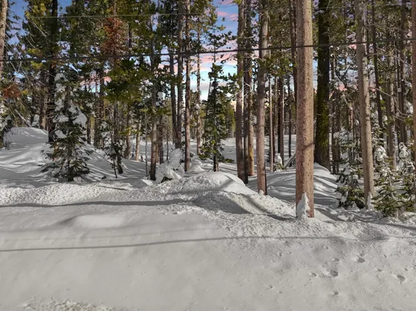 21864 Lotta Crabtree Ter, Soda Springs, CA 95728