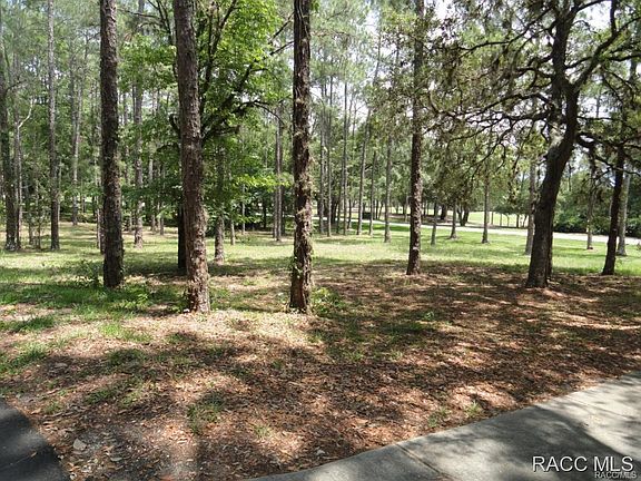 4th image of 3048 W Plantation Pines Ct