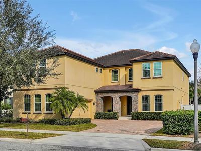 6228 Roseate Spoonbill Dr, Windermere, FL, 34786