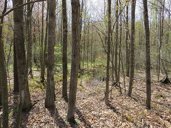 3rd image of N Chippewa Rd
