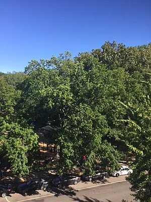 Rented by Roberto Guilbet, LREB | media 20