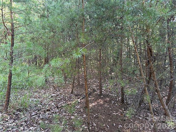 5th image of Wolf Pen Rd #24